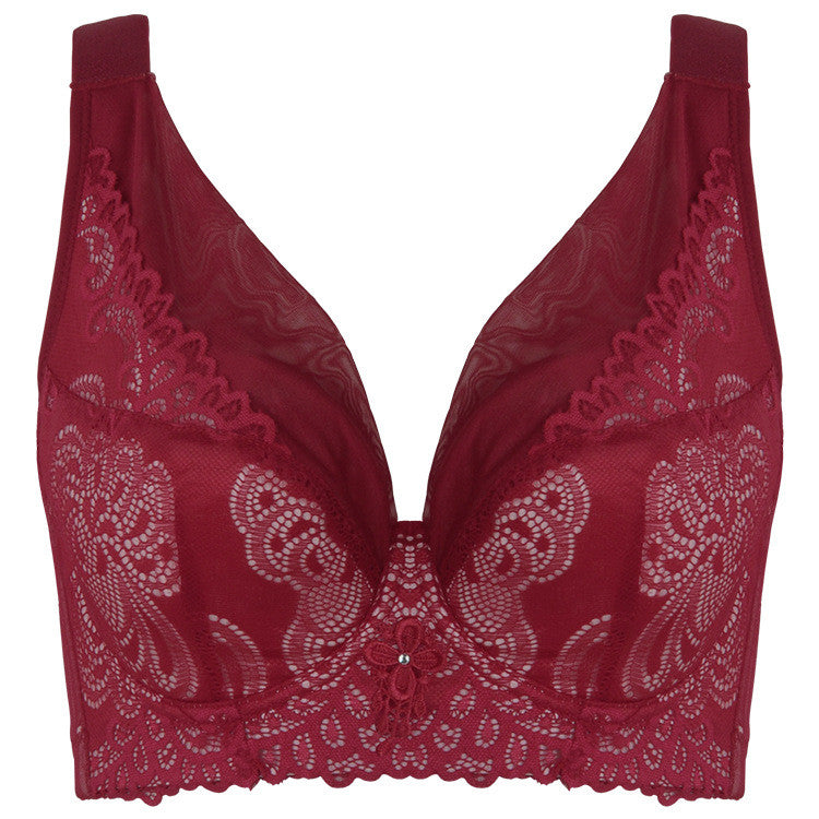 Romantic Full Cup Lace Bra - Soft & Supportive